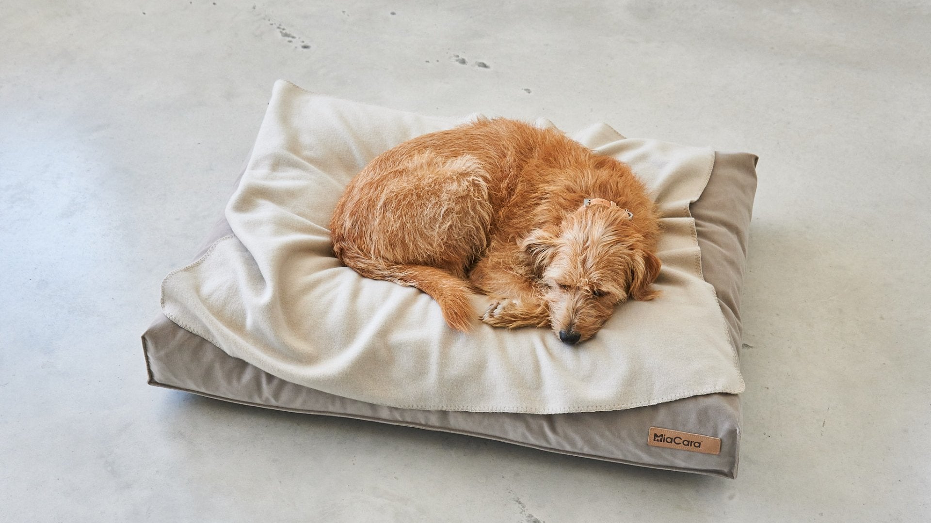 Miacara Cosmo Dog Mat & Travel Bed