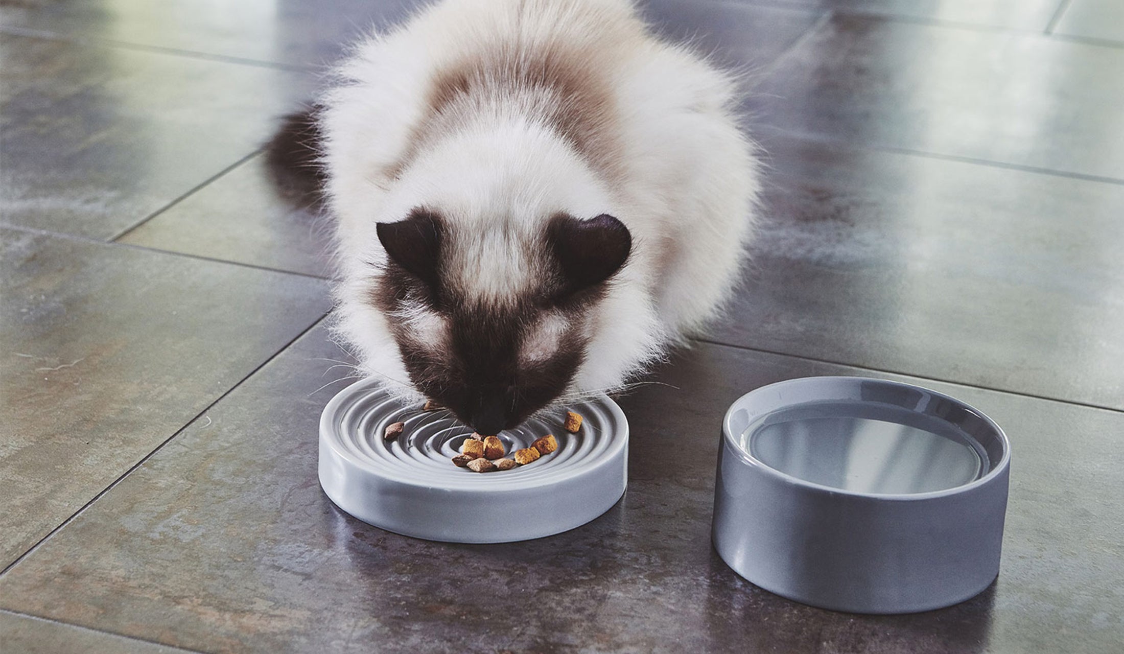 THE GOOD PET HOME CAT BOWLS MIACARA The Good Pet Home