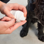 MiaCara Zampa Paw & Nose Balm