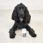 MiaCara Zampa Paw & Nose Balm