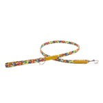 rainbow skinny lead