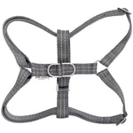 Gray dog harness on a white background