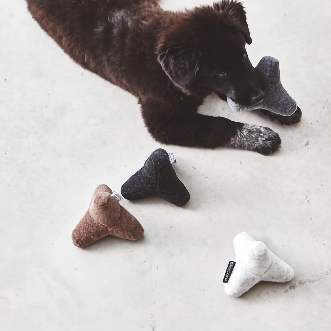 Quattro Dog Toy - Black
