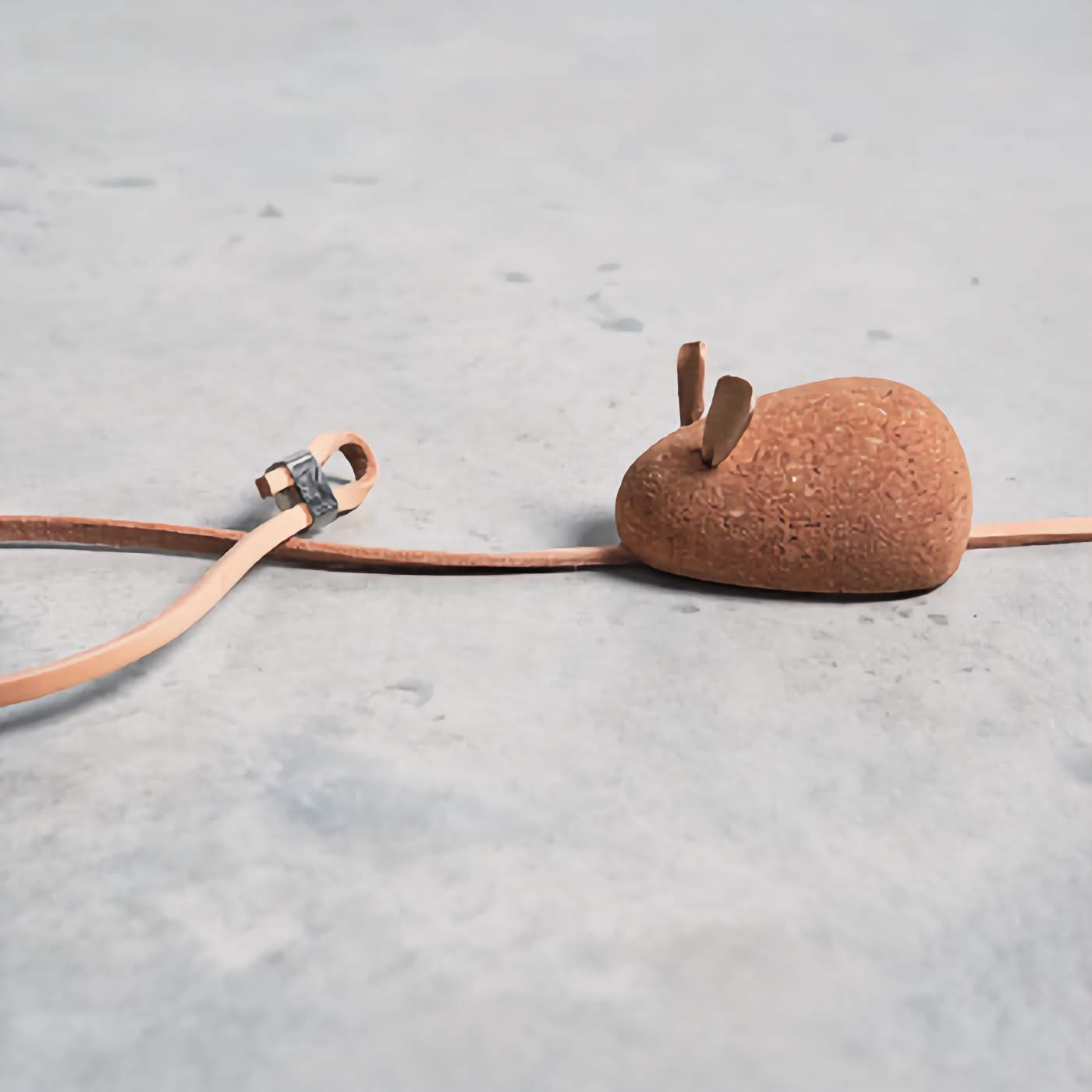 Coda Cat Toy