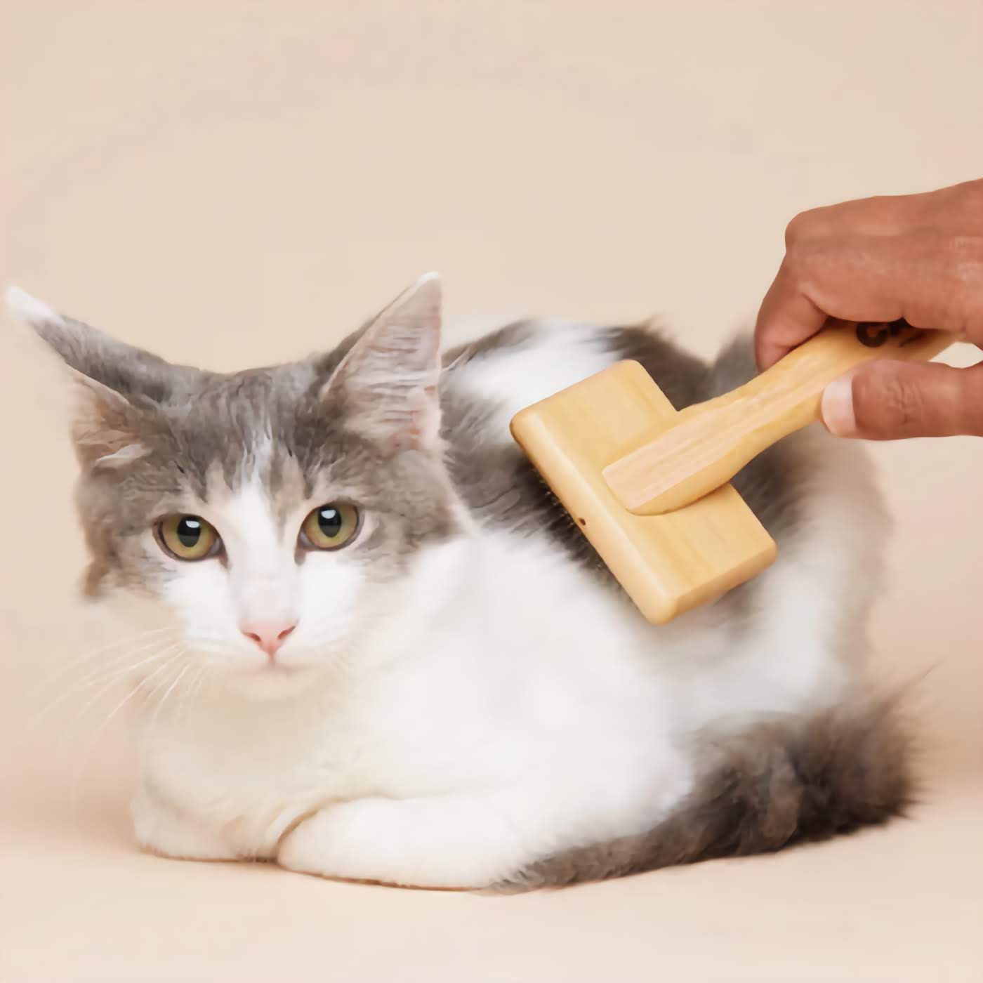 Cat Slicker Brush