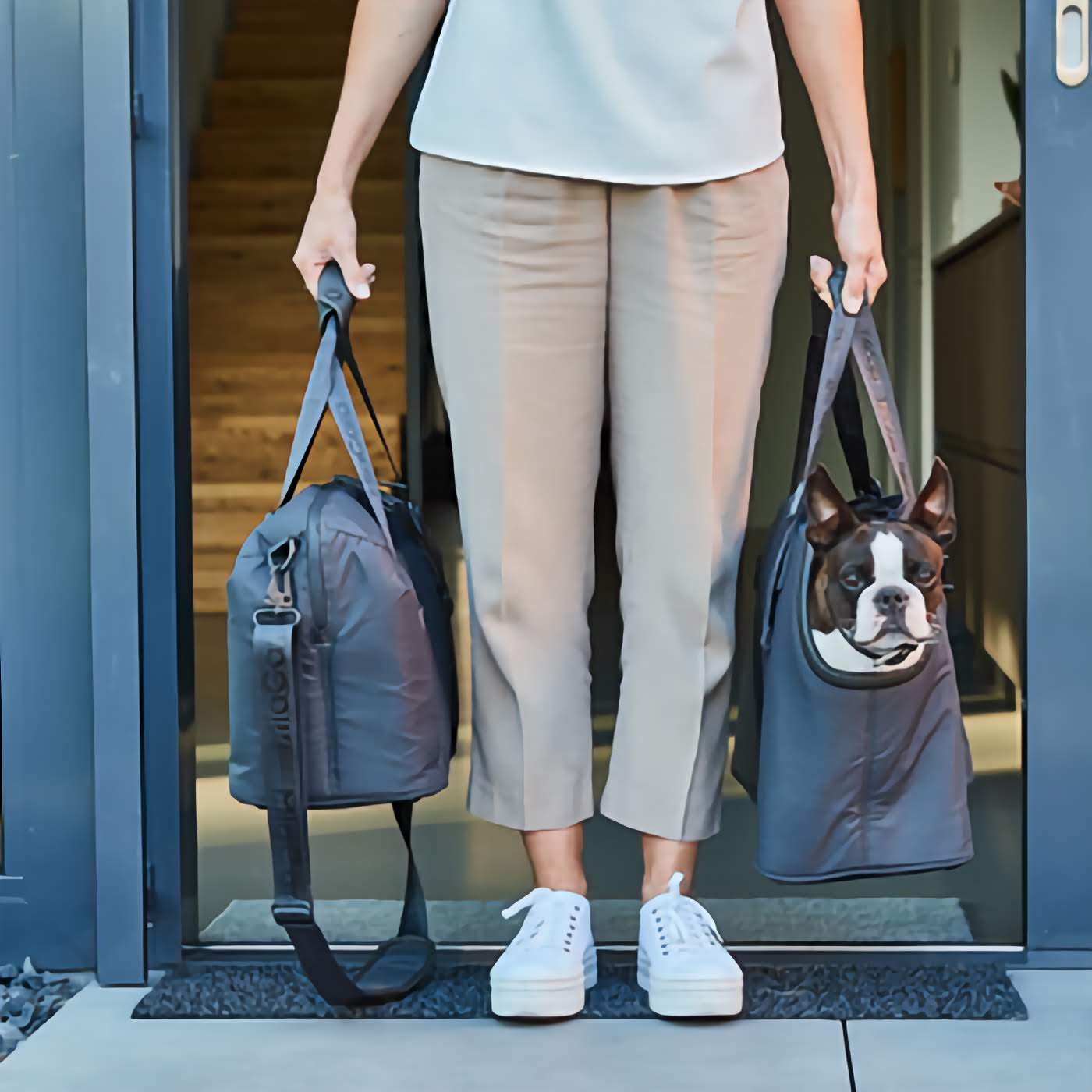 Dog Travel