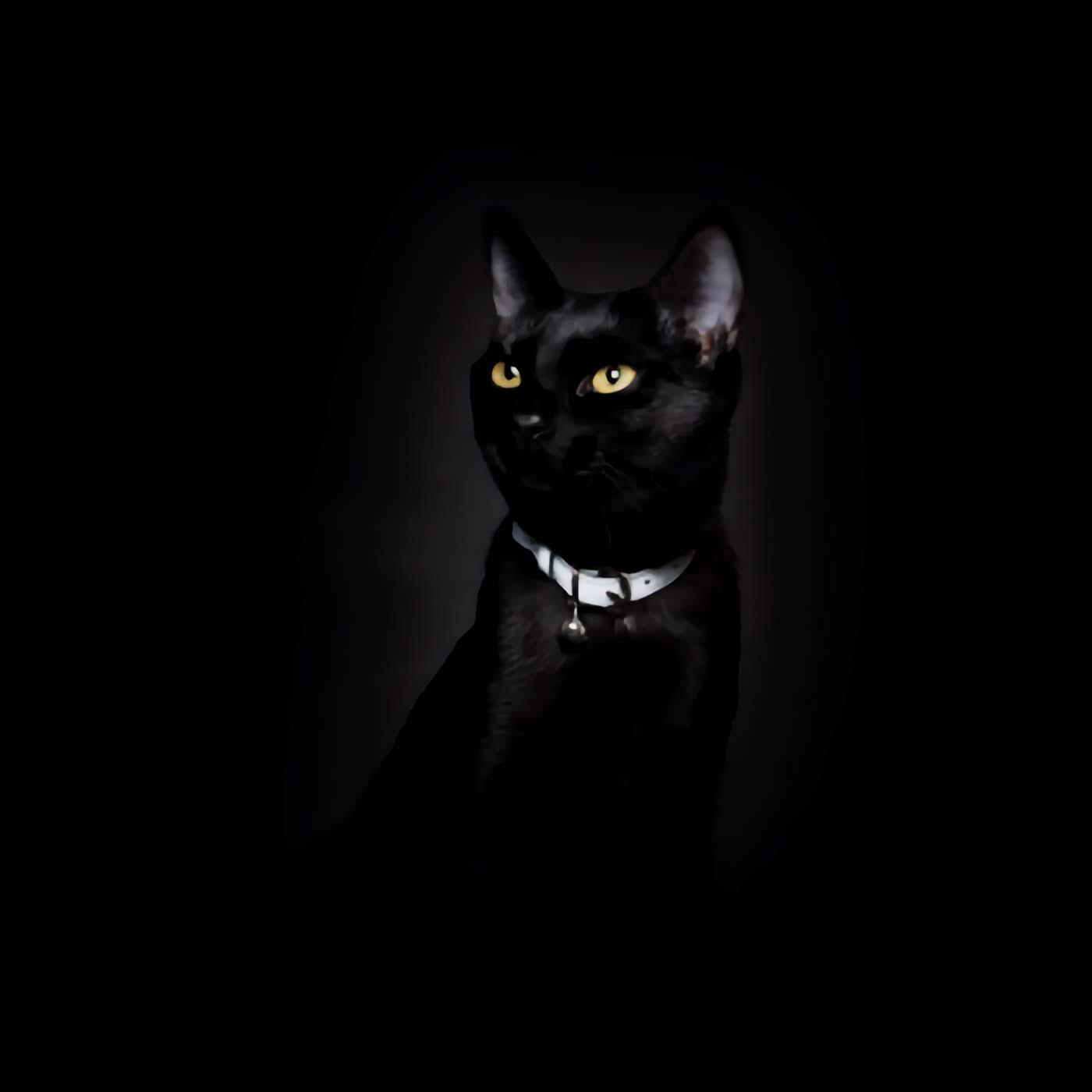 Lumino Lux - Metallic Silver Reflective Cat Collar
