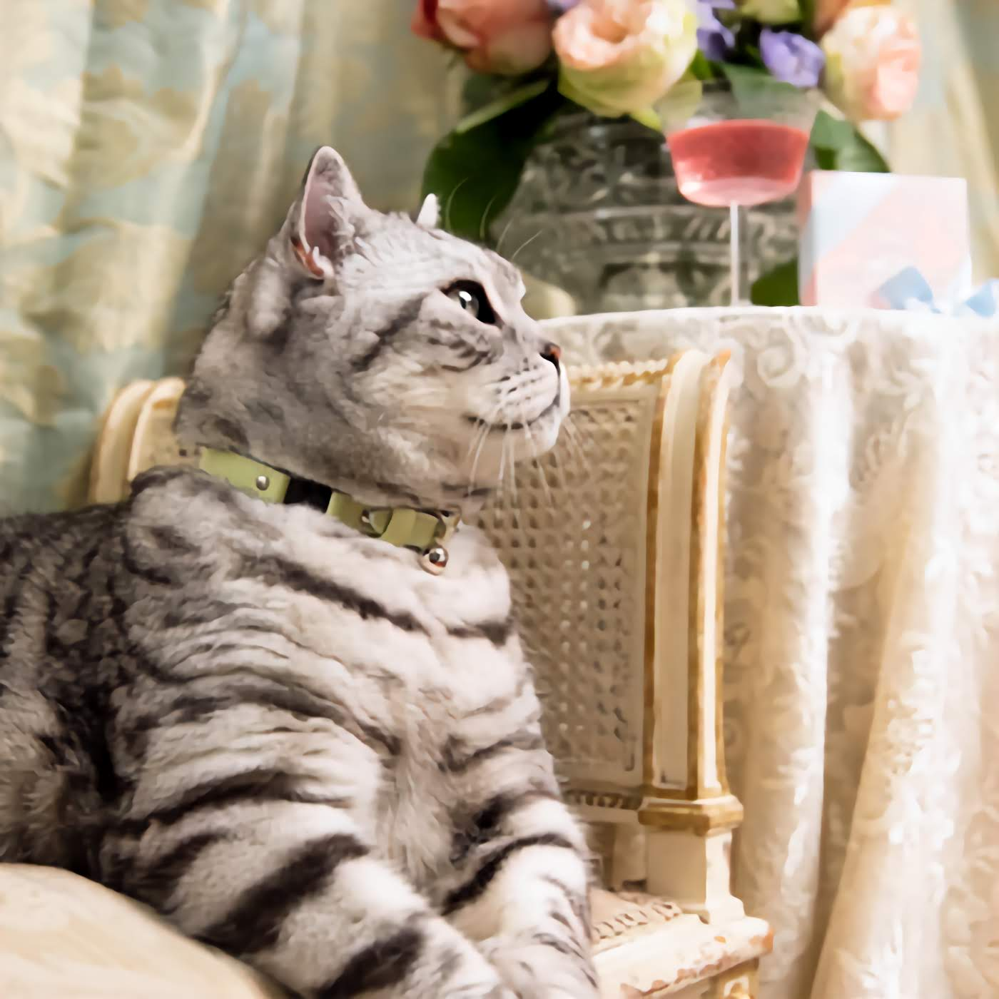 Rococo - Pistachio Cat Collar