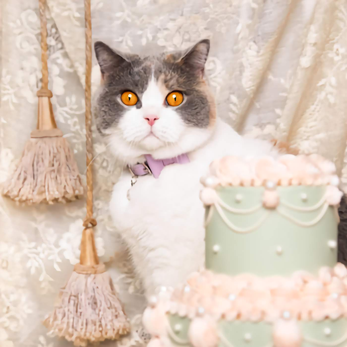 Rococo - Lilac Cat Collar With Bow Tie