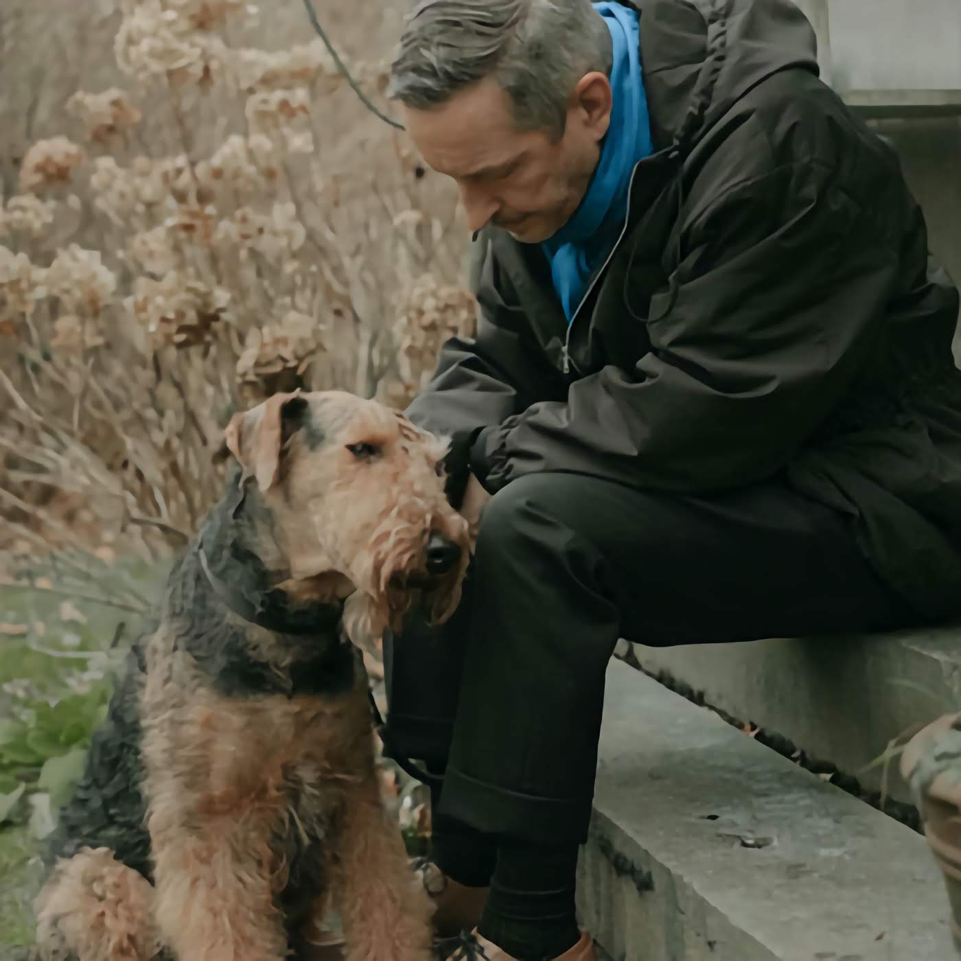 Stories of Dog Ownership