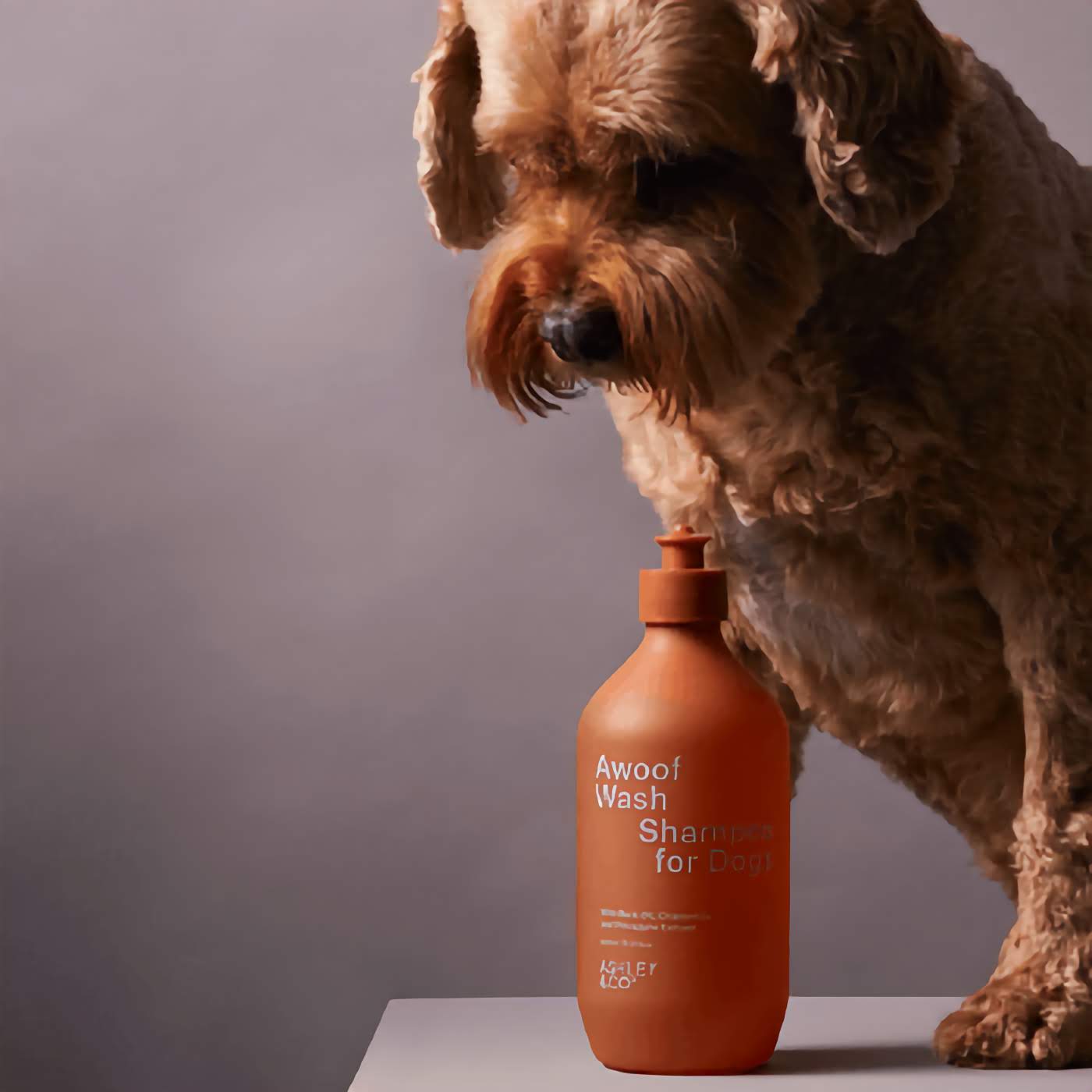 Awoof Wash Dog Shampoo