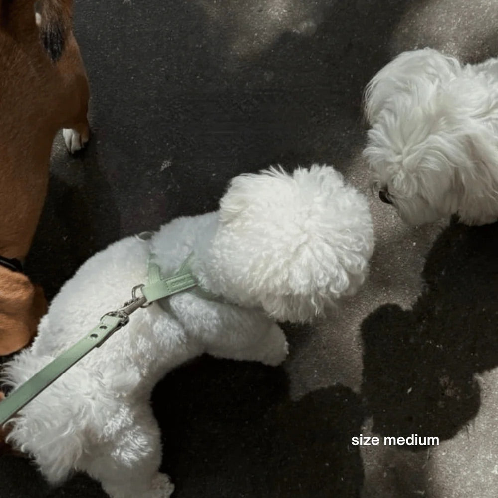 White fluffy dog toy with a green leash on a dark background
