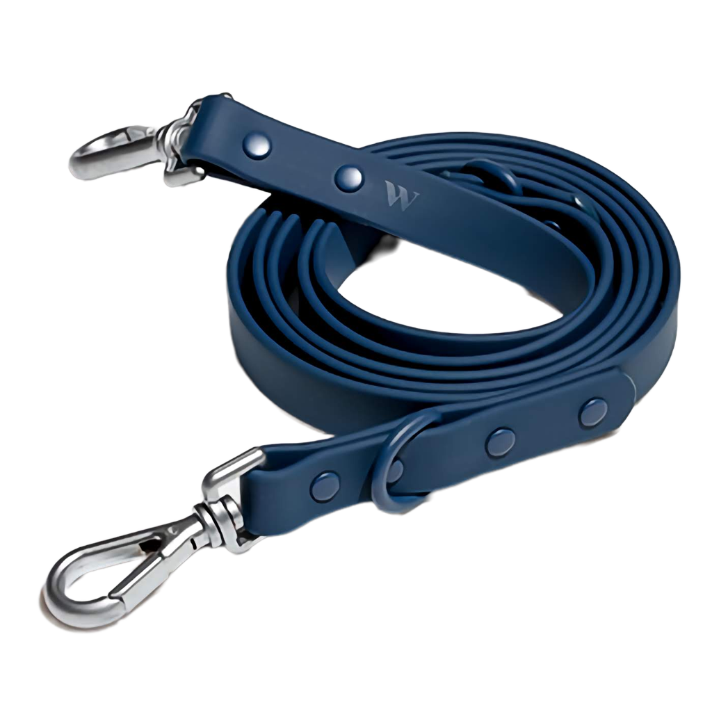 navy dog lead