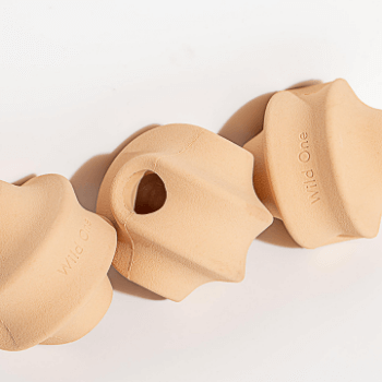 Wild One Twist Dog Toy