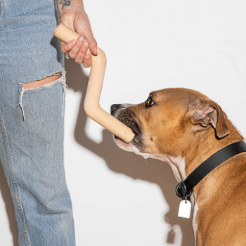 Wild One - Bolt Bite Dog Toy - Tan