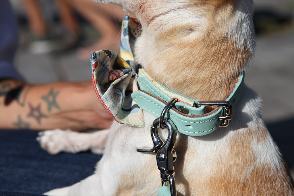 New York! New York! Dog Collars