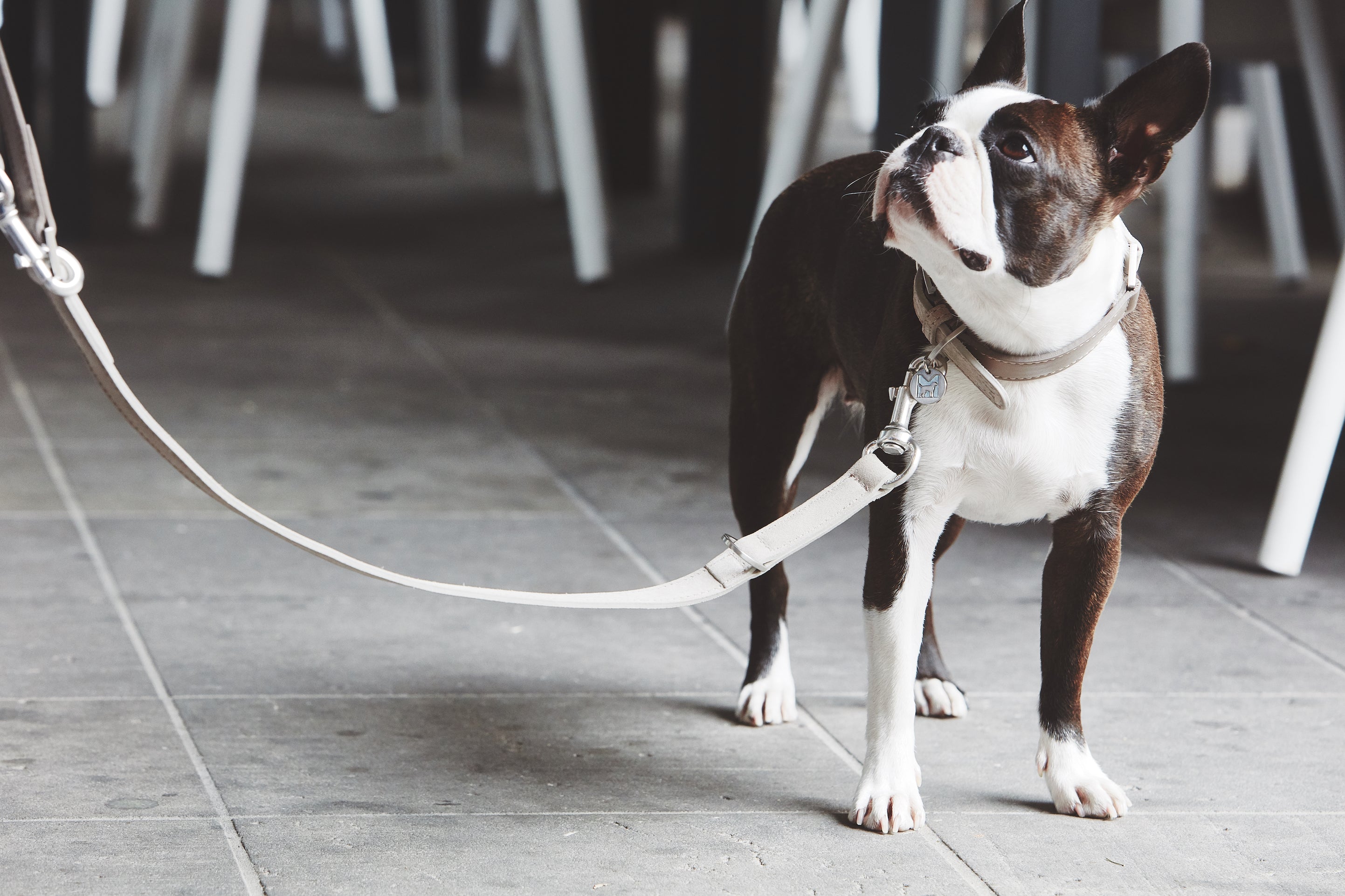MiaCara Como Long Dog Lead Nougat