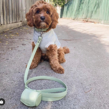 St Argo Dog Lead & Poop Bag Holder