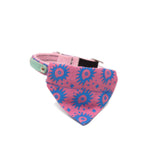 nebula-cat-bandana-on-collar