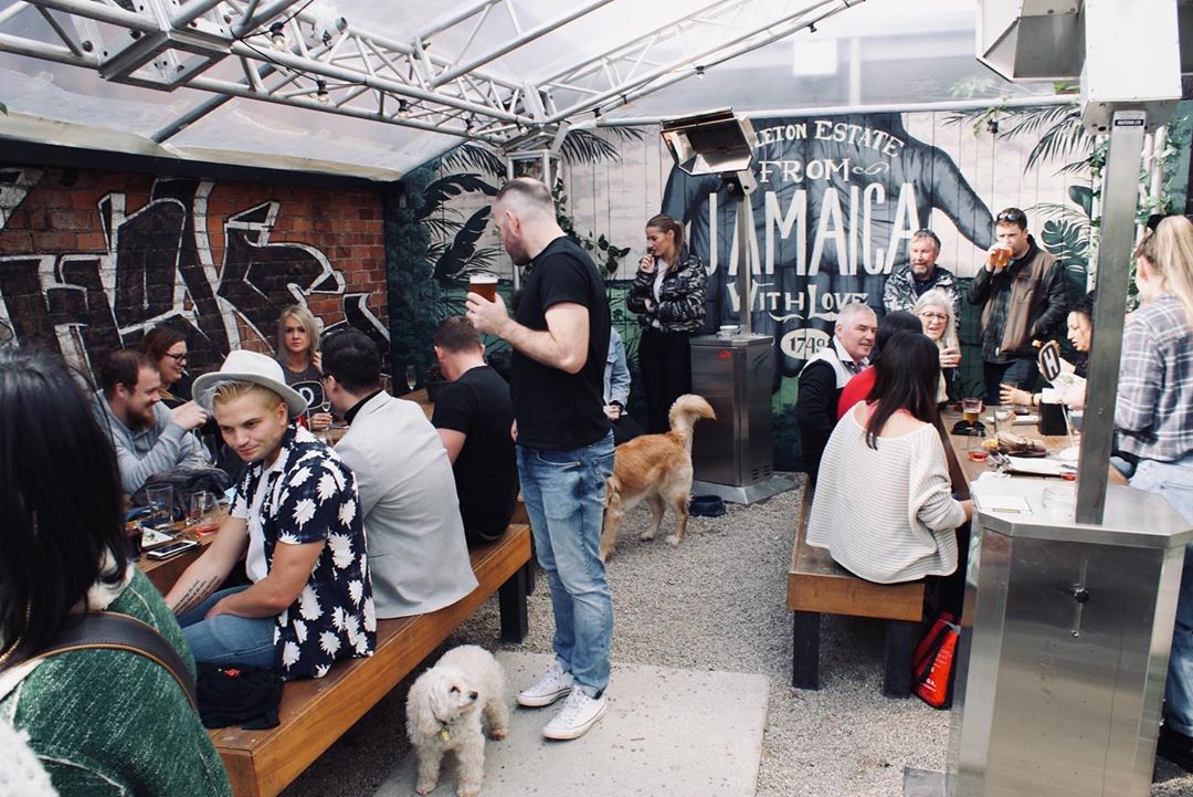 VetCare Dog & Grog Pocket Bar 