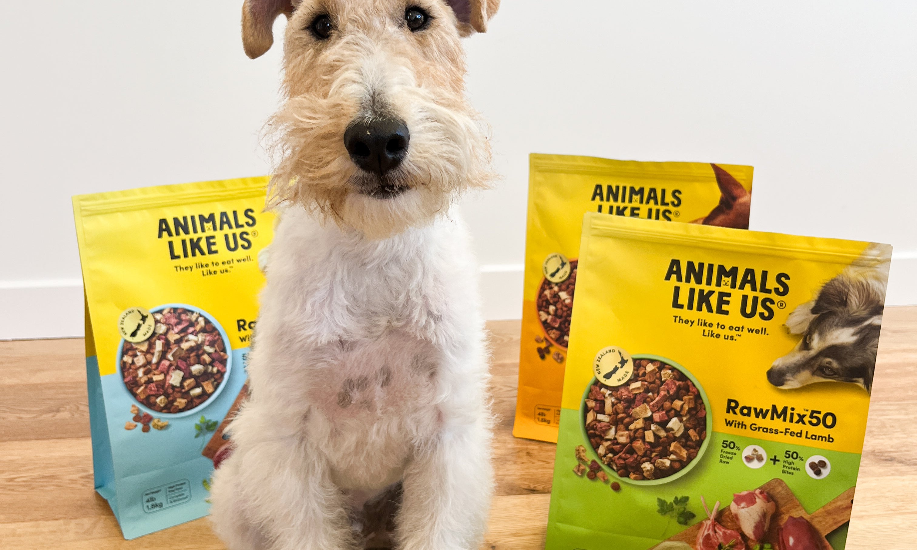 Win The Ultimutt Raw Foodie Pack