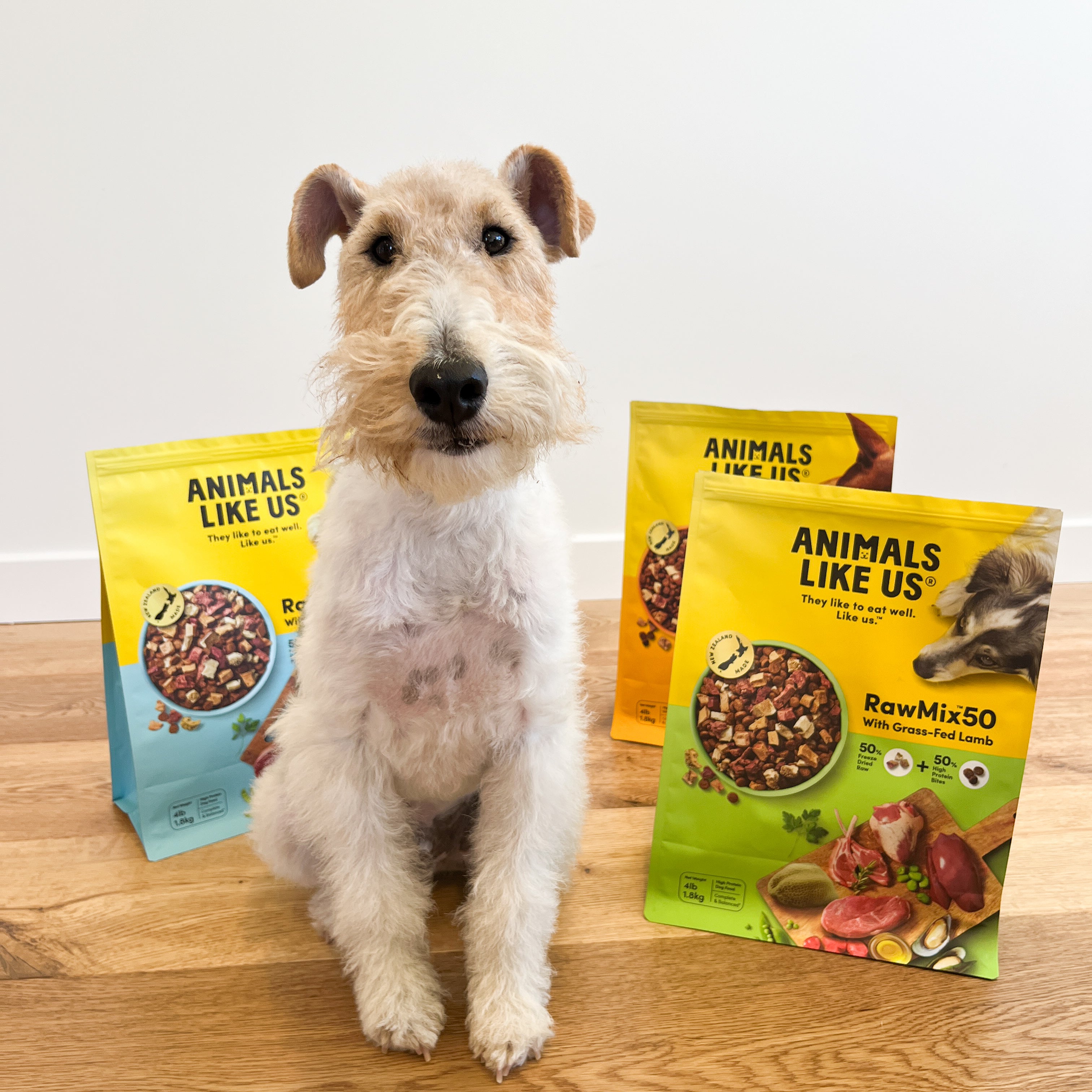 Win The Ultimutt Raw Foodie Pack