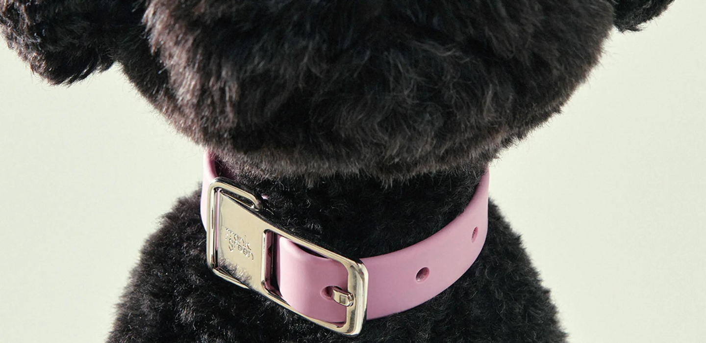 Frank Green Pet Collection