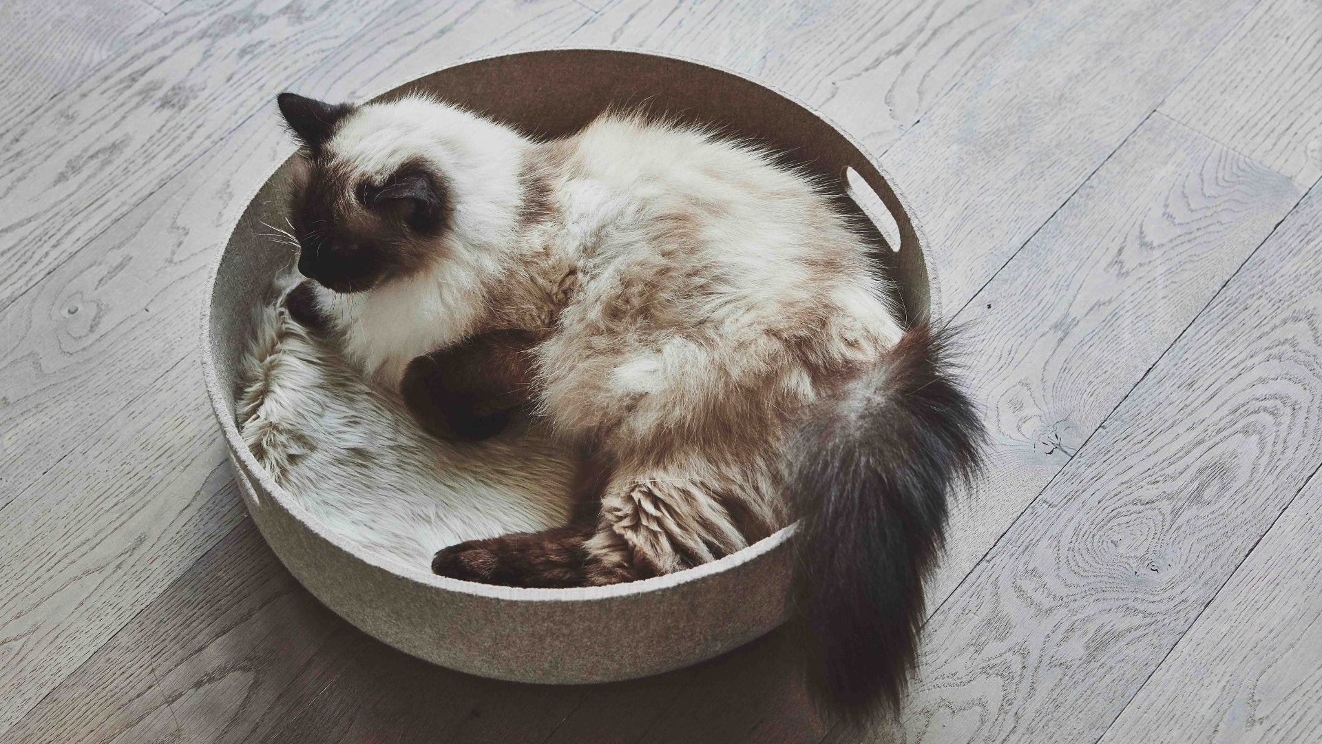 MiaCara Cesto Cat Bed
