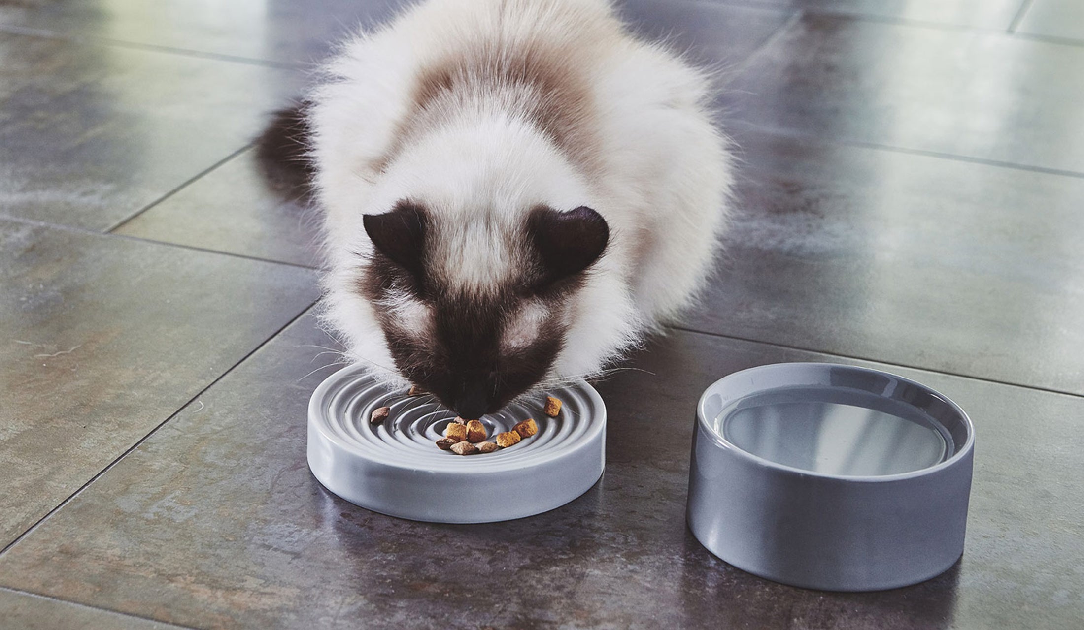 MiaCara Tondo Cat Bowl available at THE GOOD PET HOME