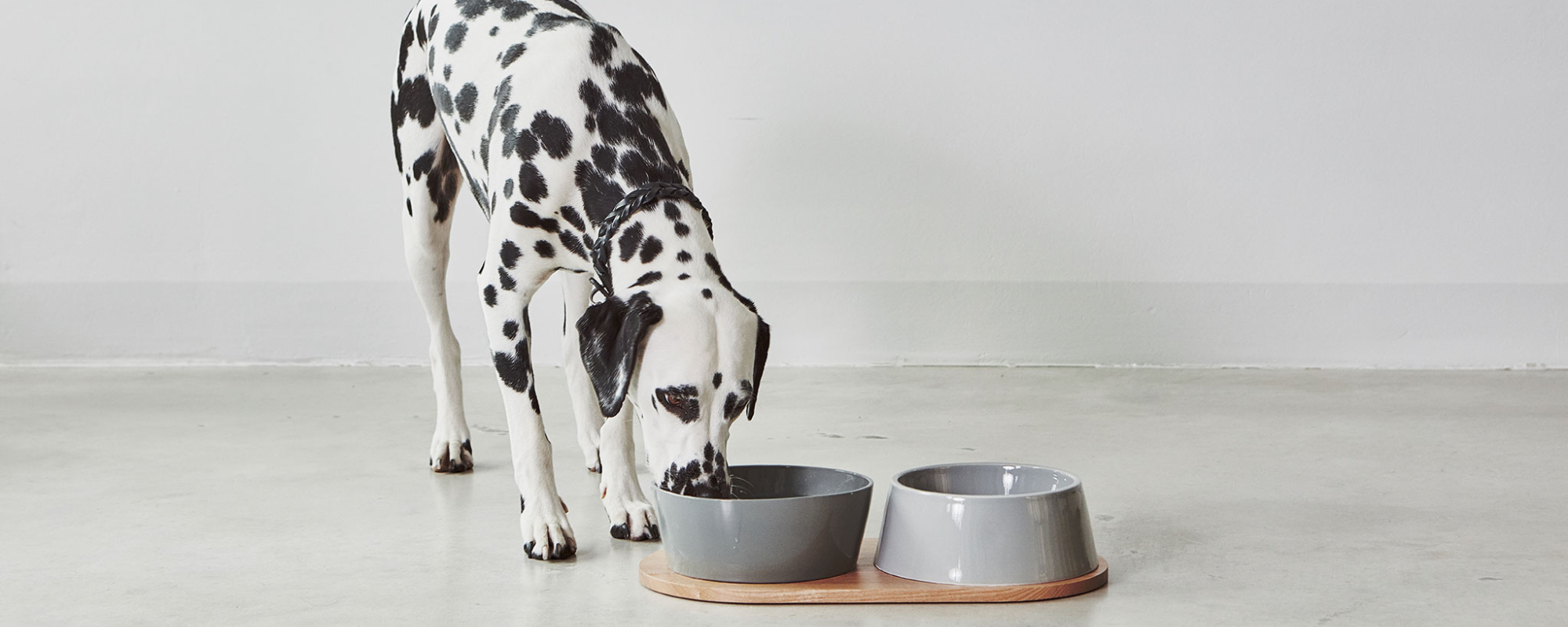 MiaCara Doppio Dog Bowls