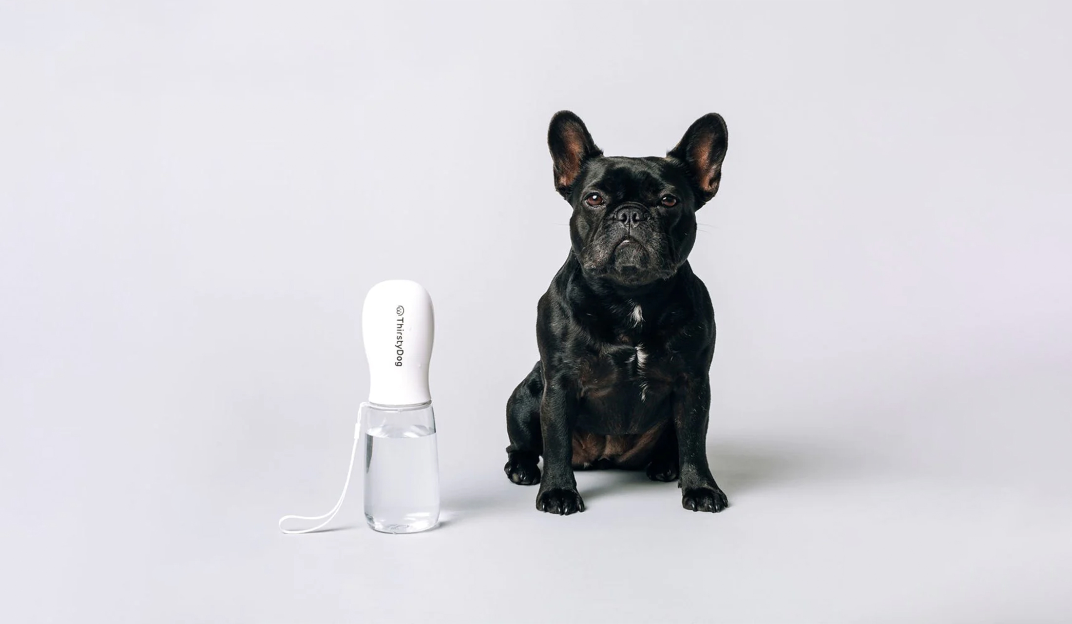 The Good Pet Home Thirsty Dog Drink Bottle.  BPA Free-Plastic