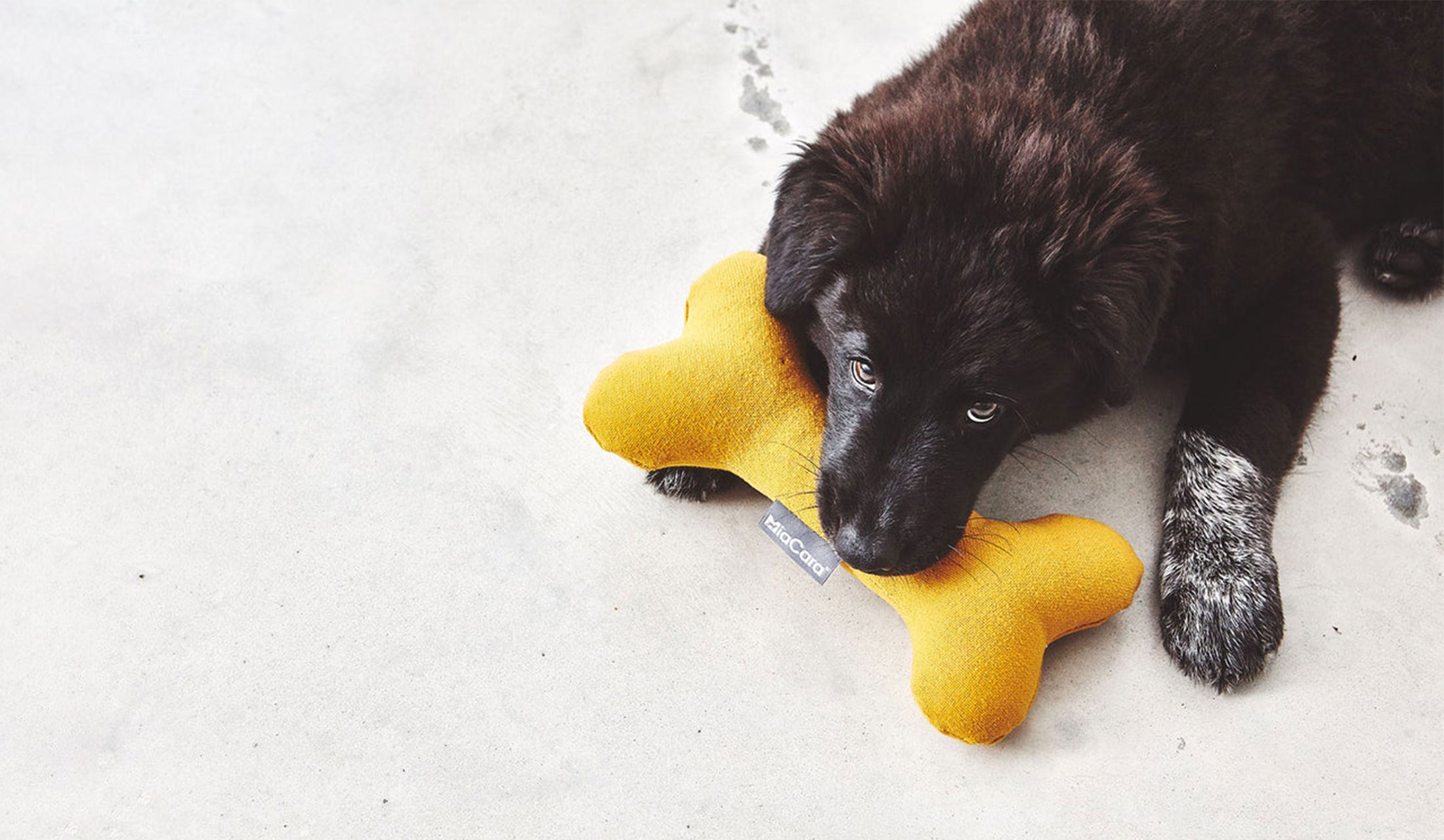 Bowl&Bone Dog Toys Available At THE GOOD PET HOME
