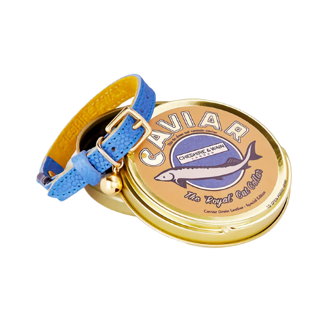 Leather cat collar