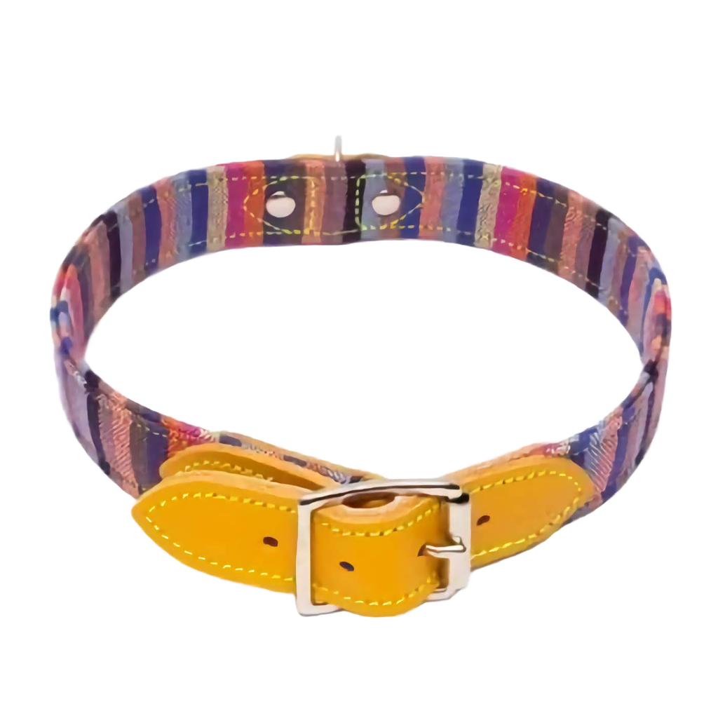 Rainbow Stripe Dog Collar