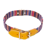 Rainbow Stripe Dog Collar