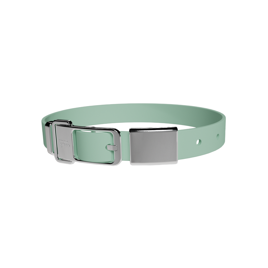 Frank Green Dog Collar - Mint Green