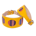 Yellow and Mutlicolour Stripe Dog Collar