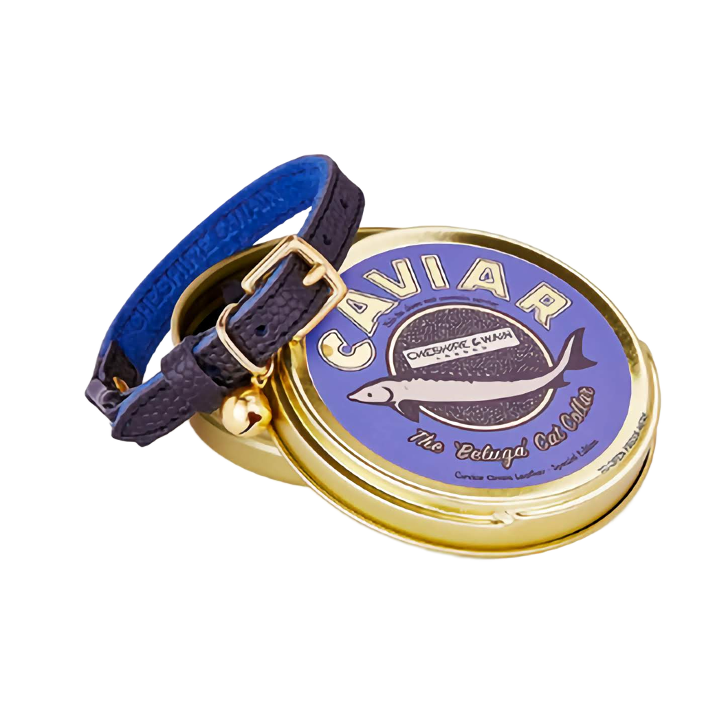 Leather cat collar