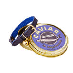 Leather cat collar