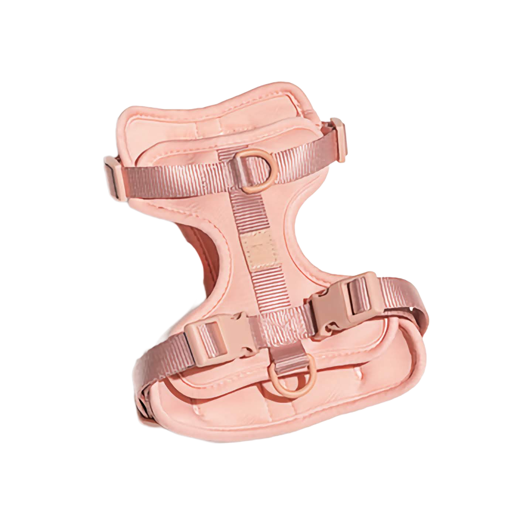 pink dog harness 
