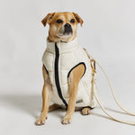 Barc London Dog Puffer Jacket