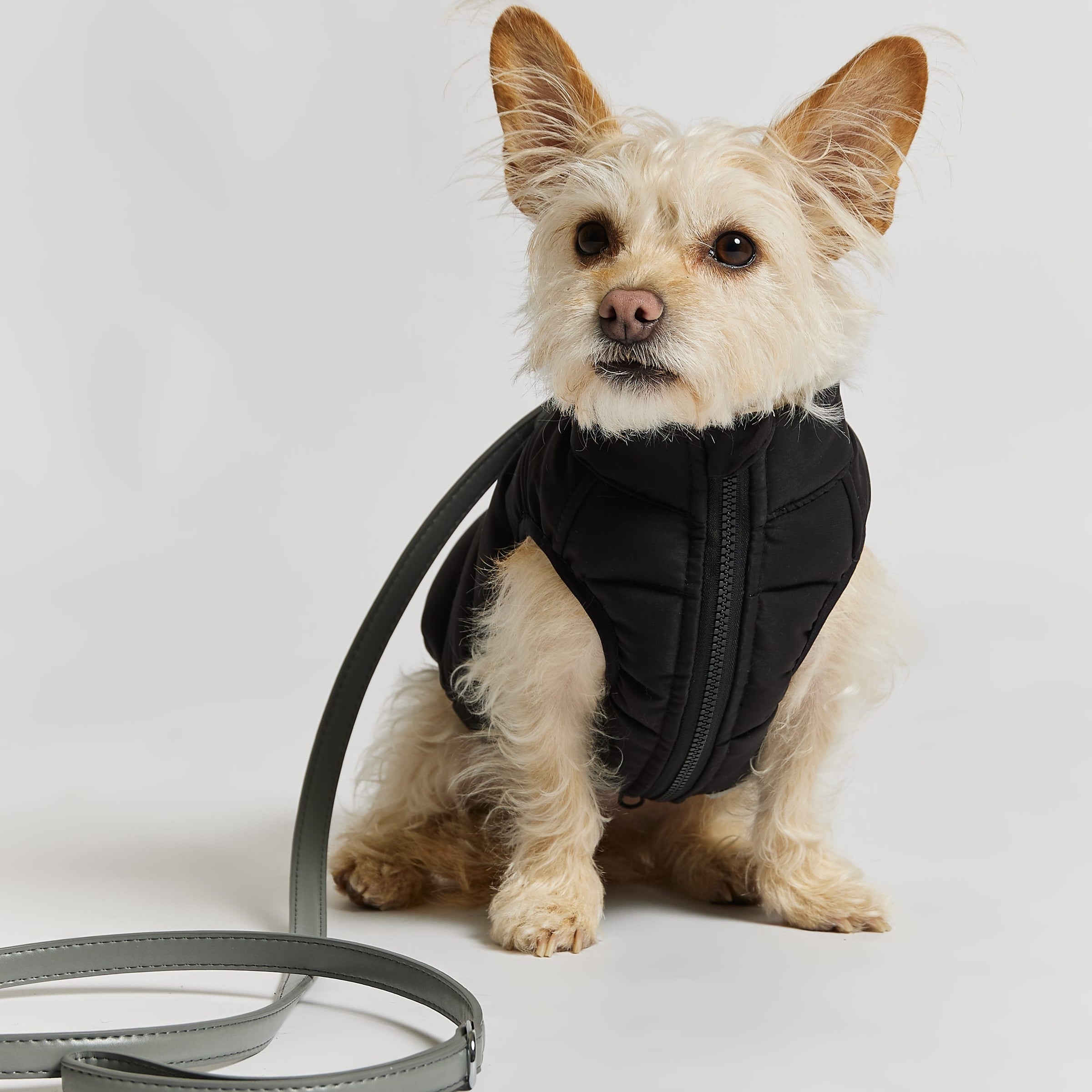 Barc London Dog Puffer Jacket