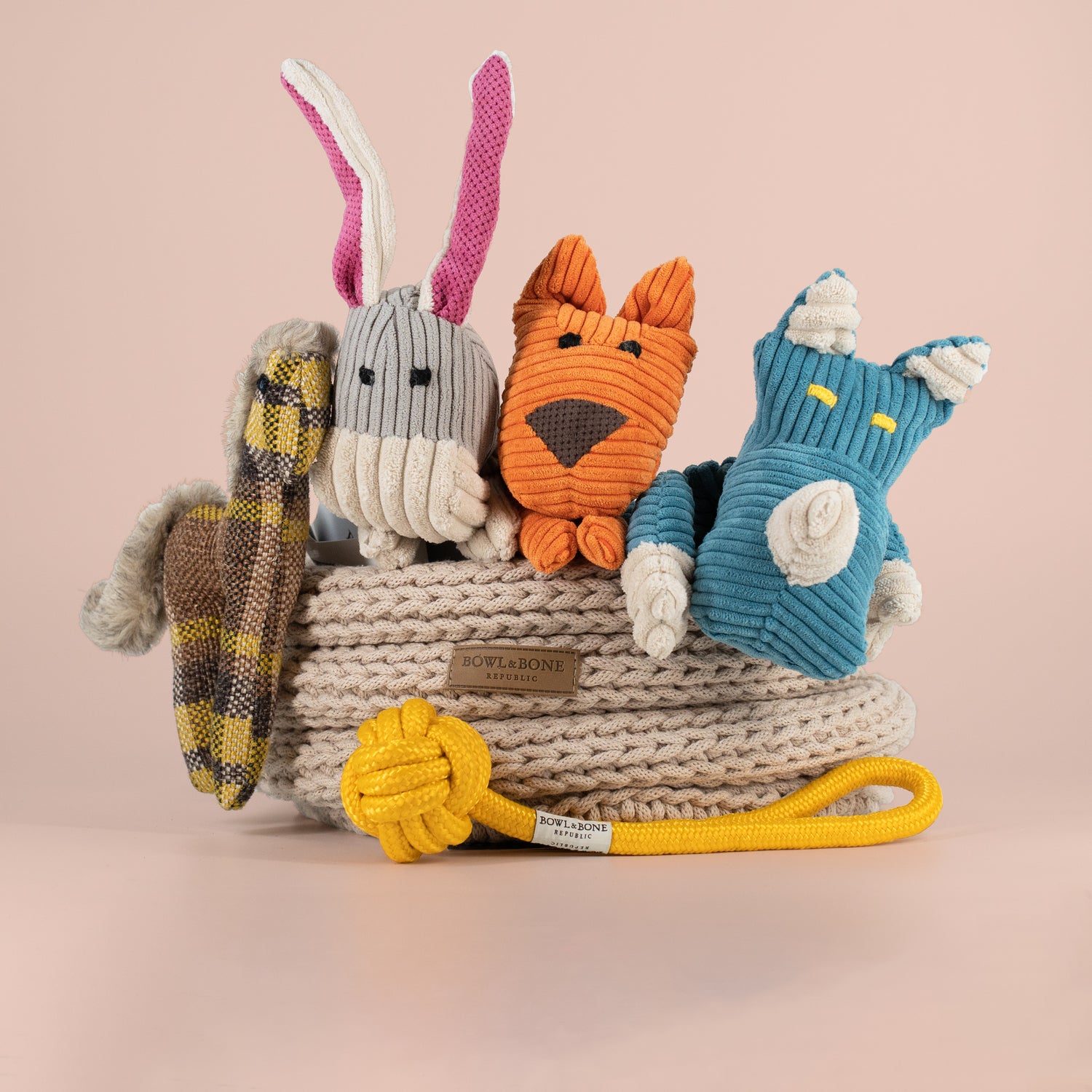 Bowl & Bone Republic Dog Toy Set