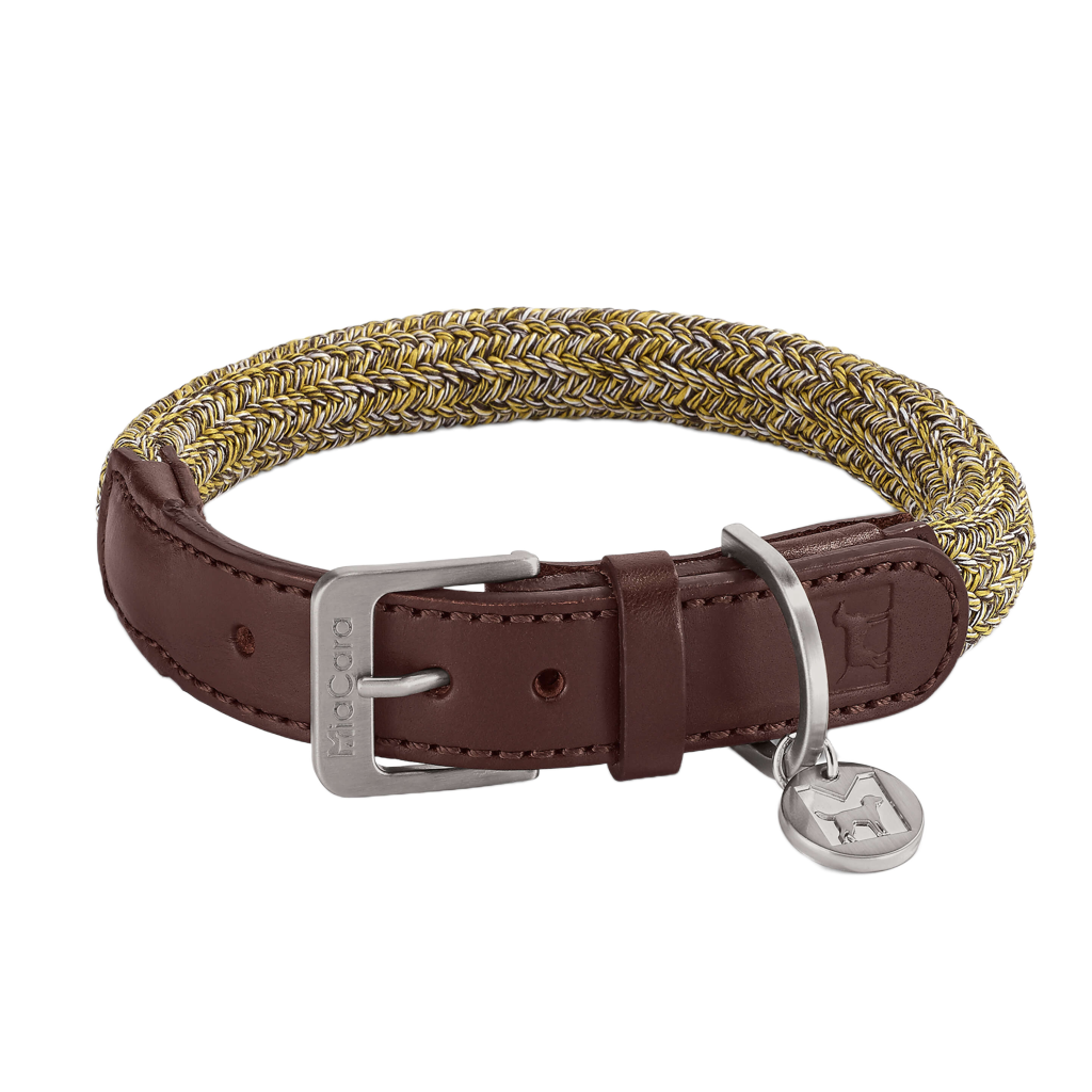 leather dog collar brown beige