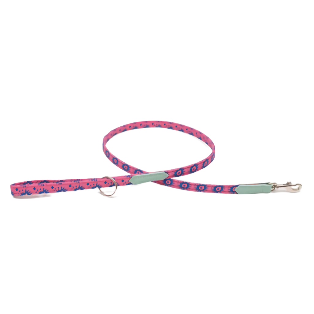 nebula lead