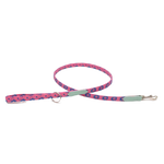 nebula lead