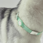 Frank Green Mint Gelato Dog Collar