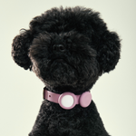Frank Green Pet Collar with Apple Air Tag