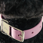 Frank Green Dog Collar = Pink