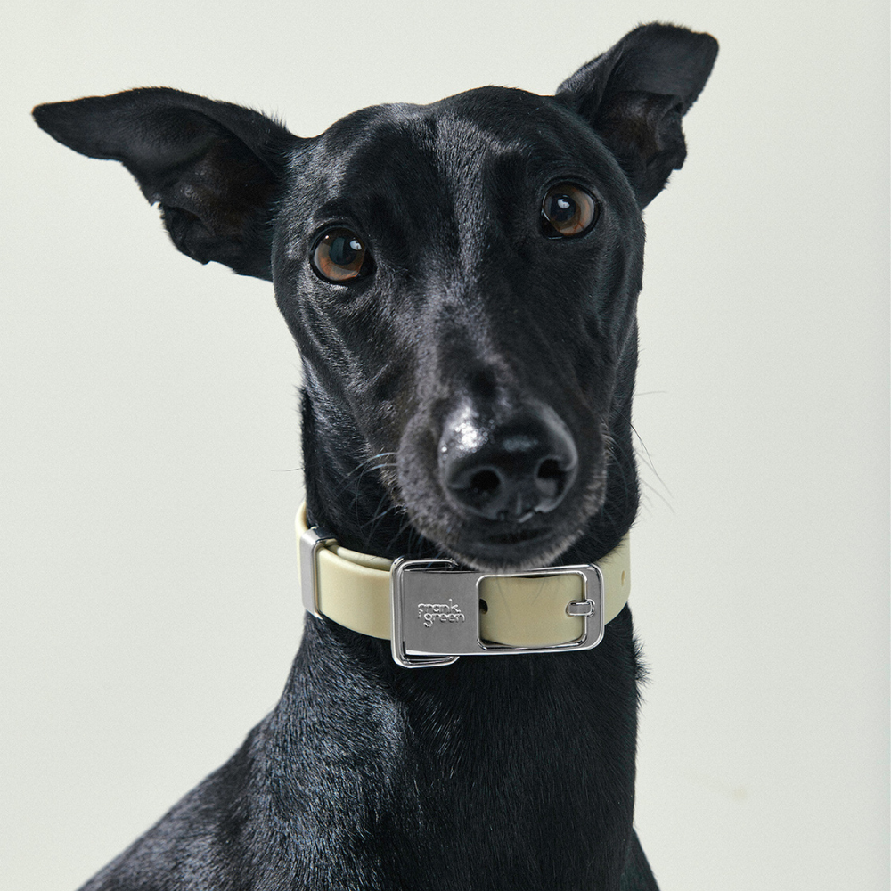 The Good Pet Home Luxury Pet Boutique Cat and Dog Accessories